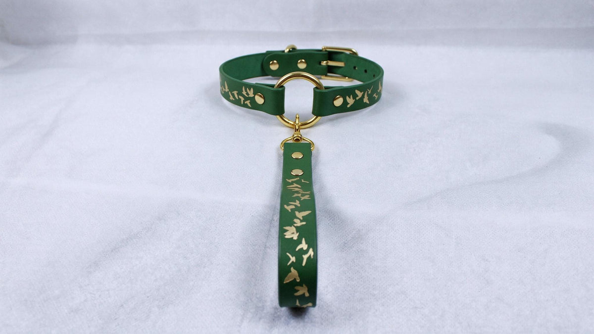 Leather BDSM Collar Set, Birds Motif Leather Leash, Daywear Style