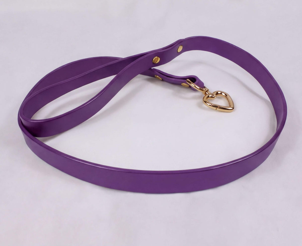 Black BDSM Leather Leash 90 cm – Heart Snap Hook Bondage Lead