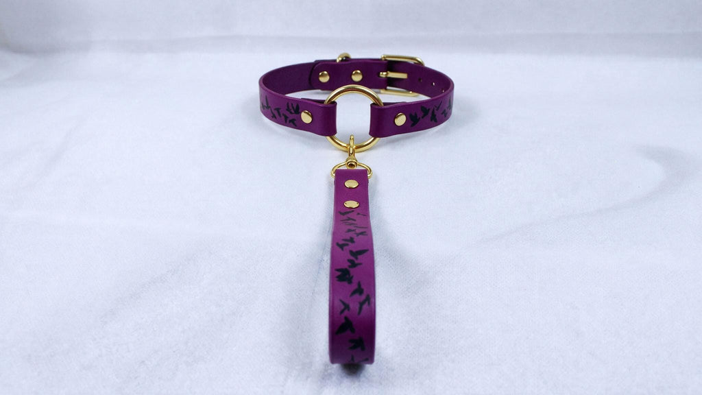 Leather BDSM Collar Set, Birds Motif Leather Leash, Daywear Style