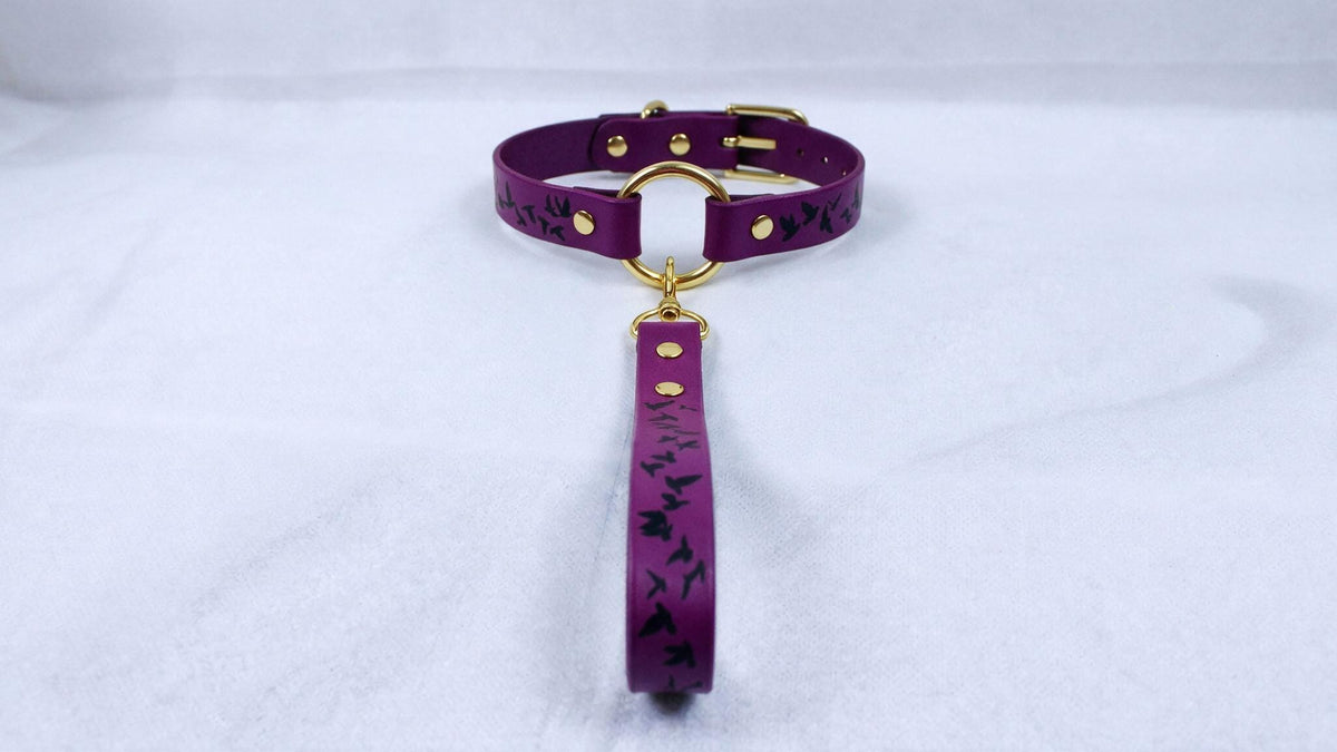 Leather BDSM Collar Set, Birds Motif Leather Leash, Daywear Style