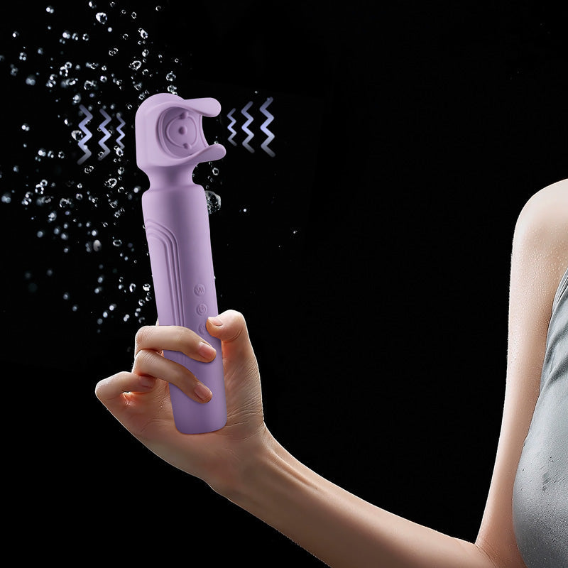 Roomfun BDSM AV Wand Vibrator for Male & Female