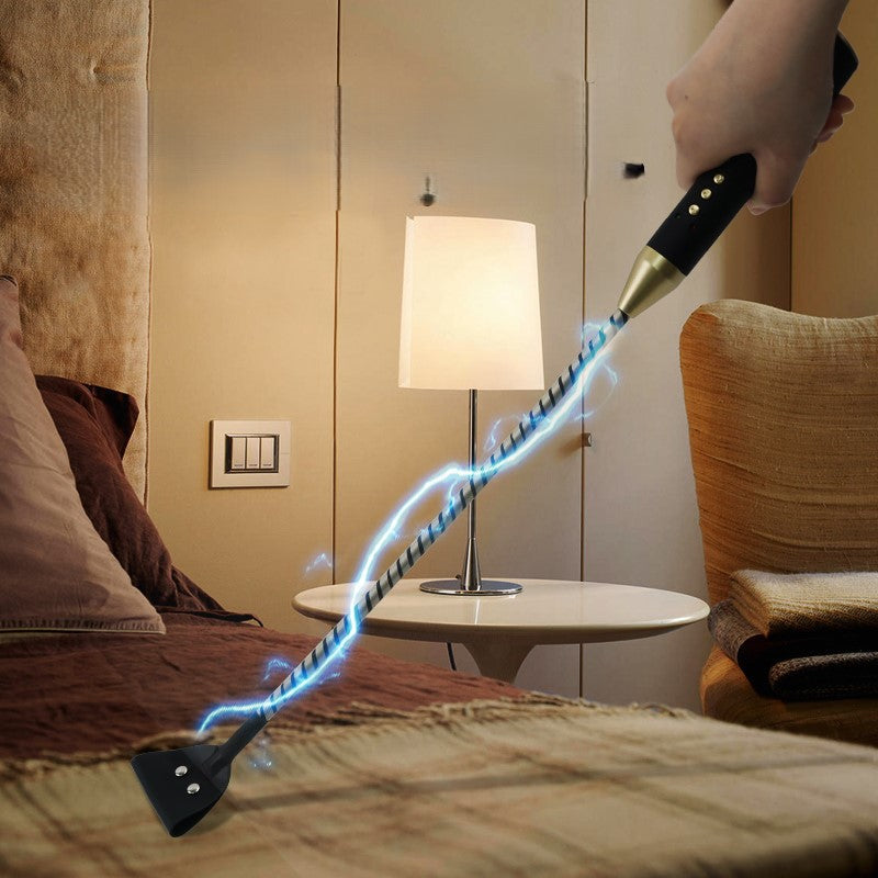 Roomfun Electric Shock BDSM Spanking Crop