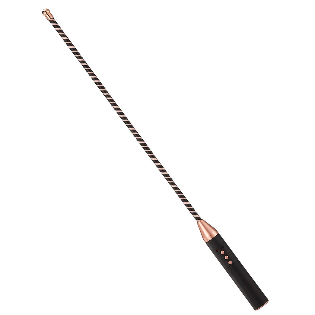 Roomfun Electric Shock BDSM Cane