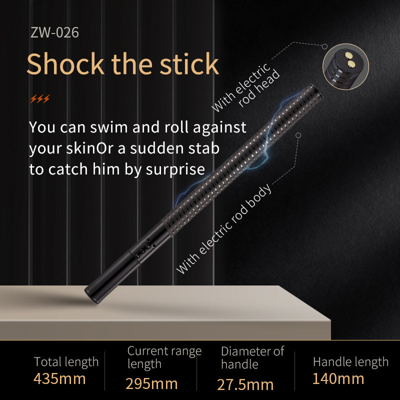 Roomfun Electric Shock BDSM Stick
