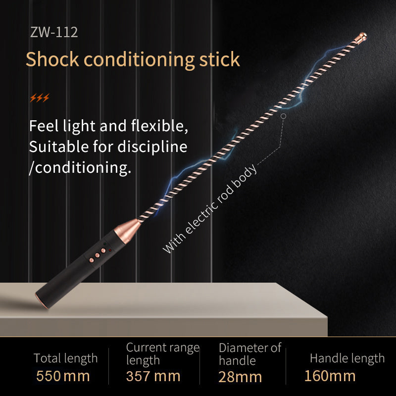Roomfun Electric Shock BDSM Cane