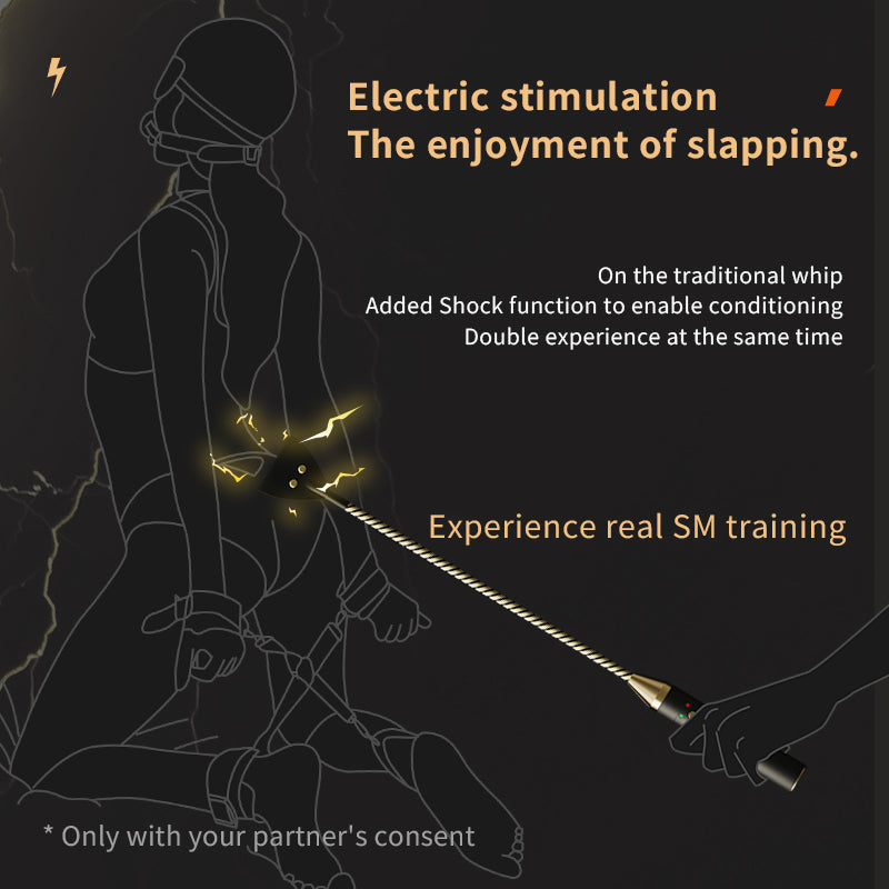 Roomfun Electric Shock BDSM Crop, Paddle, Cane & Stick Set