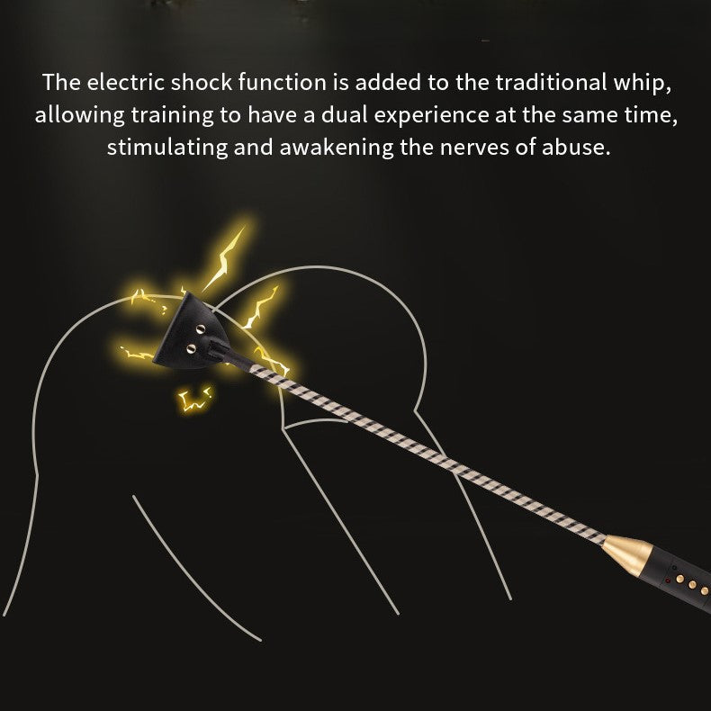 Roomfun Electric Shock BDSM Spanking Crop