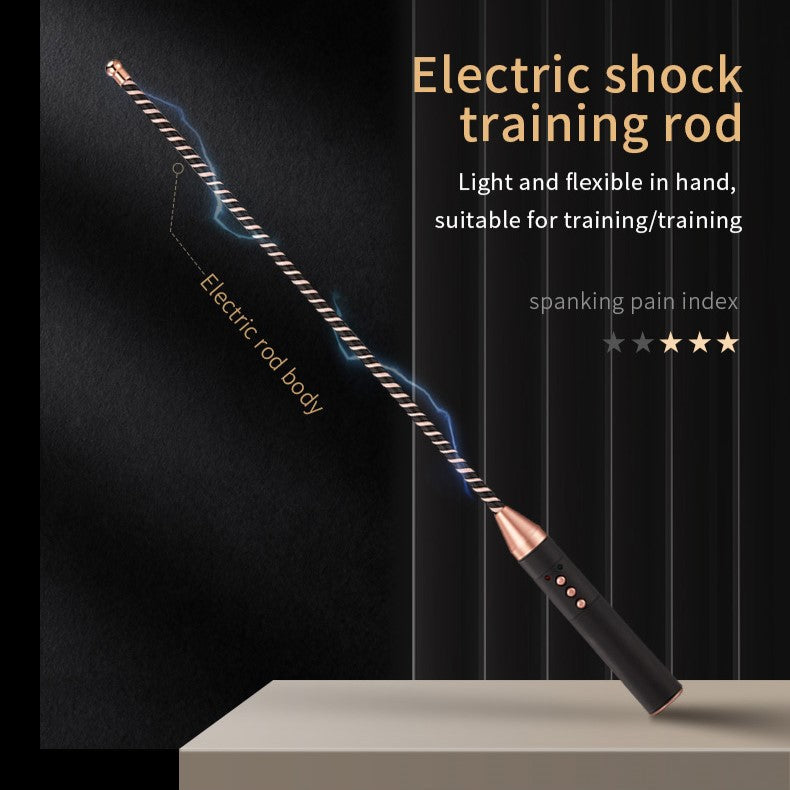 Roomfun Electric Shock BDSM Cane