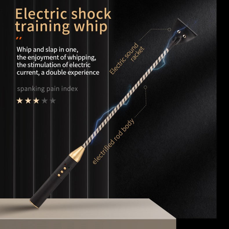 Roomfun Electric Shock BDSM Spanking Crop