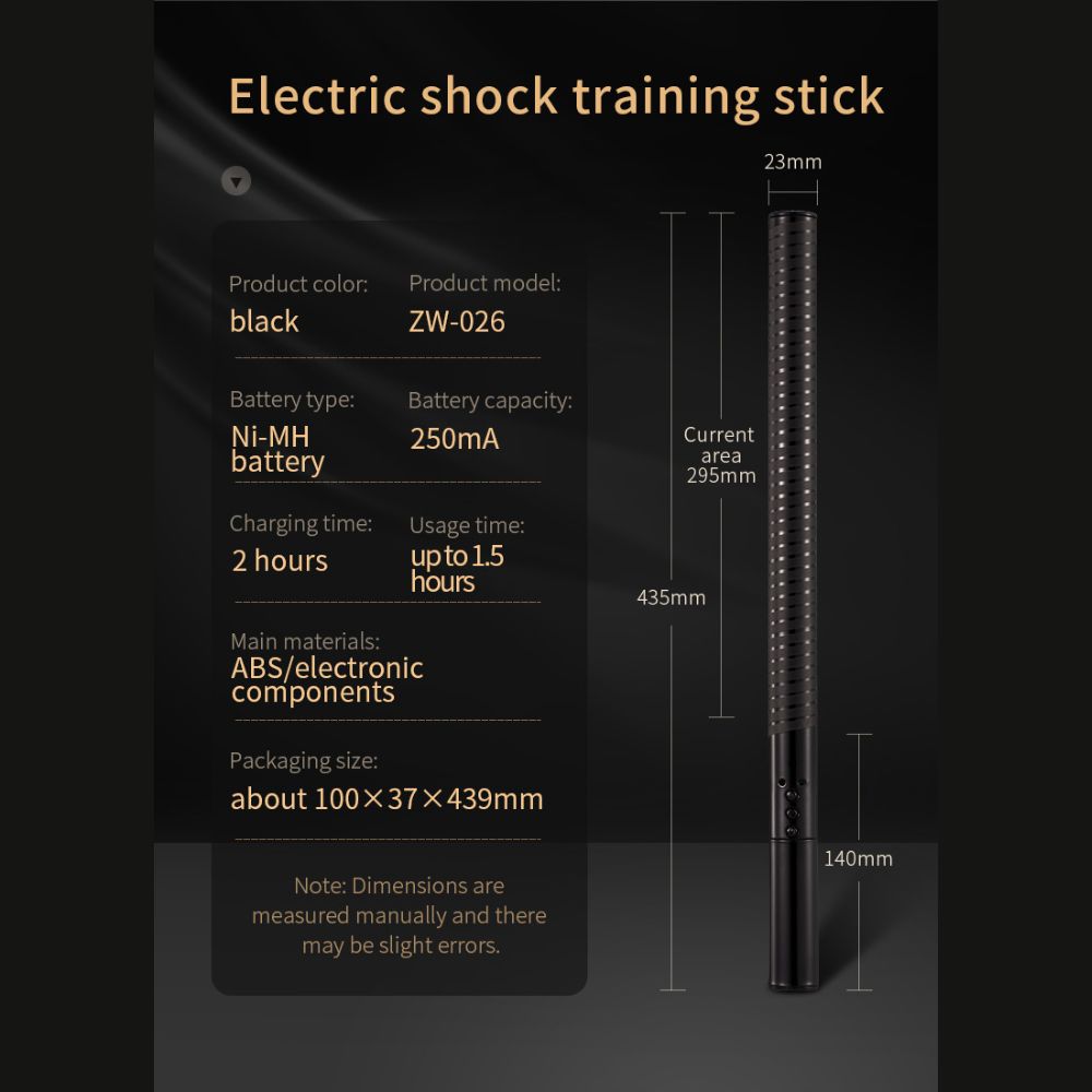 Roomfun Electric Shock BDSM Stick